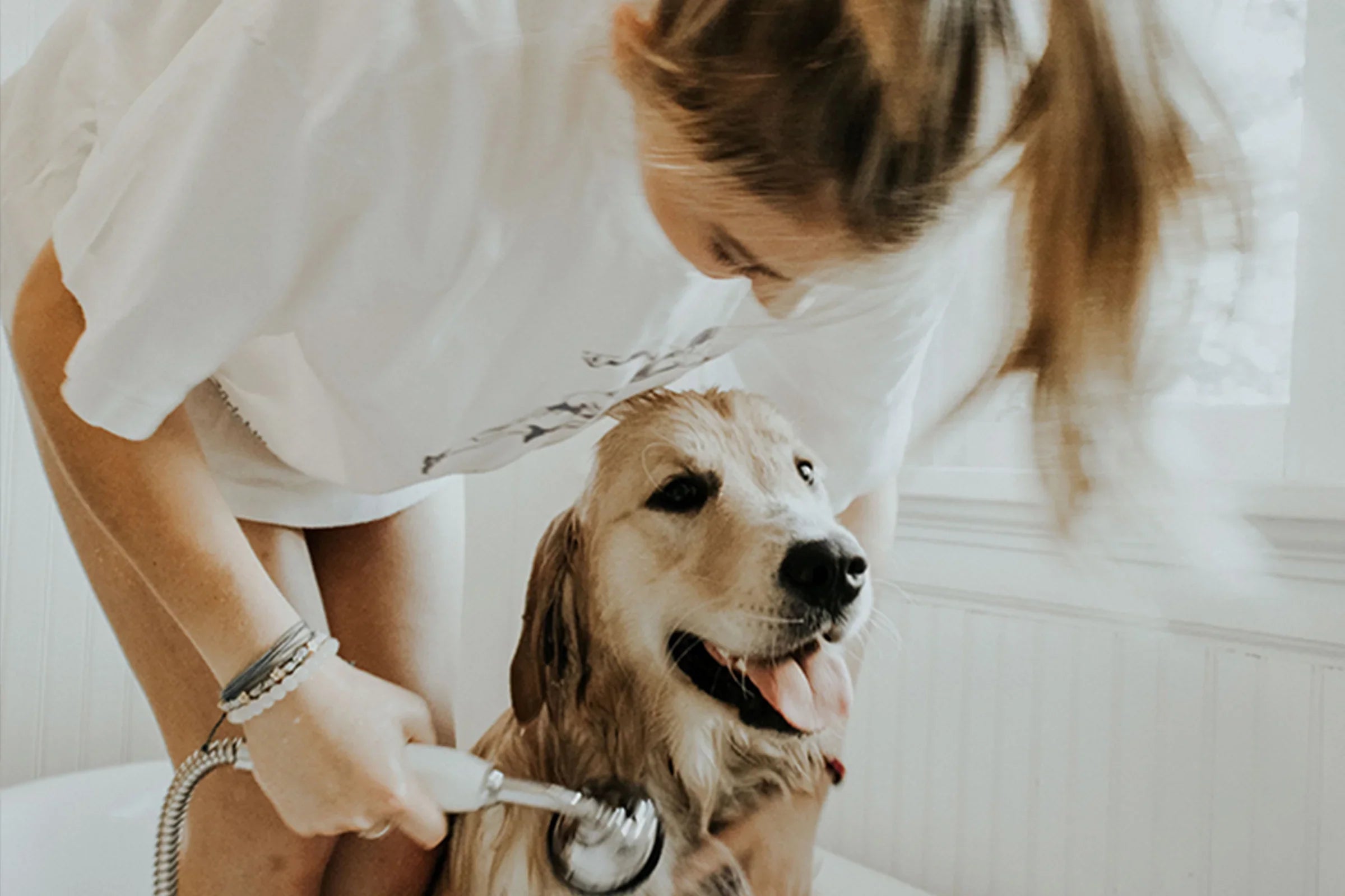 Woman in white shirt bathing golden retriever dog indoors with handheld showerhead