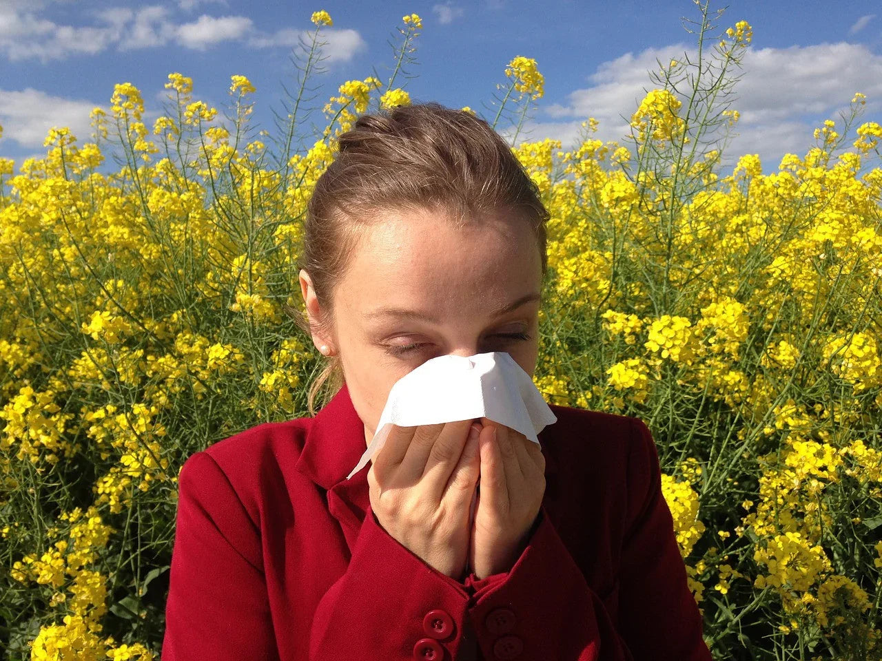 Woman sneezing into tissue in field of yellow flowers, showing seasonal allergies outdoors