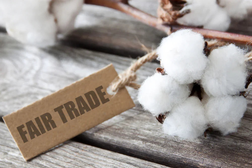 Raw organic cotton with a fair trade label on rustic wood, eco-friendly textile
