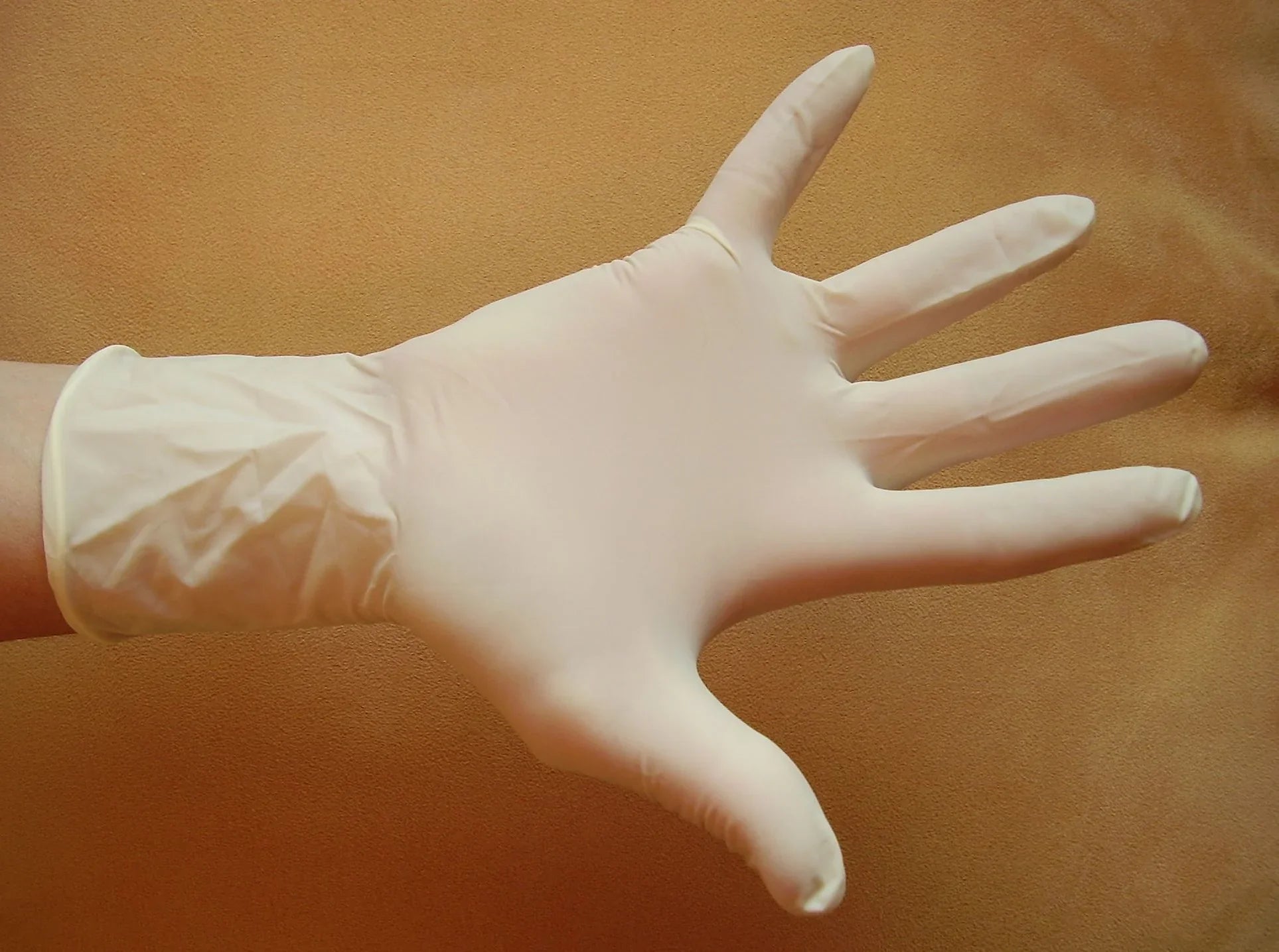 Hand wearing white latex glove against neutral background, hypoallergenic apparel concept