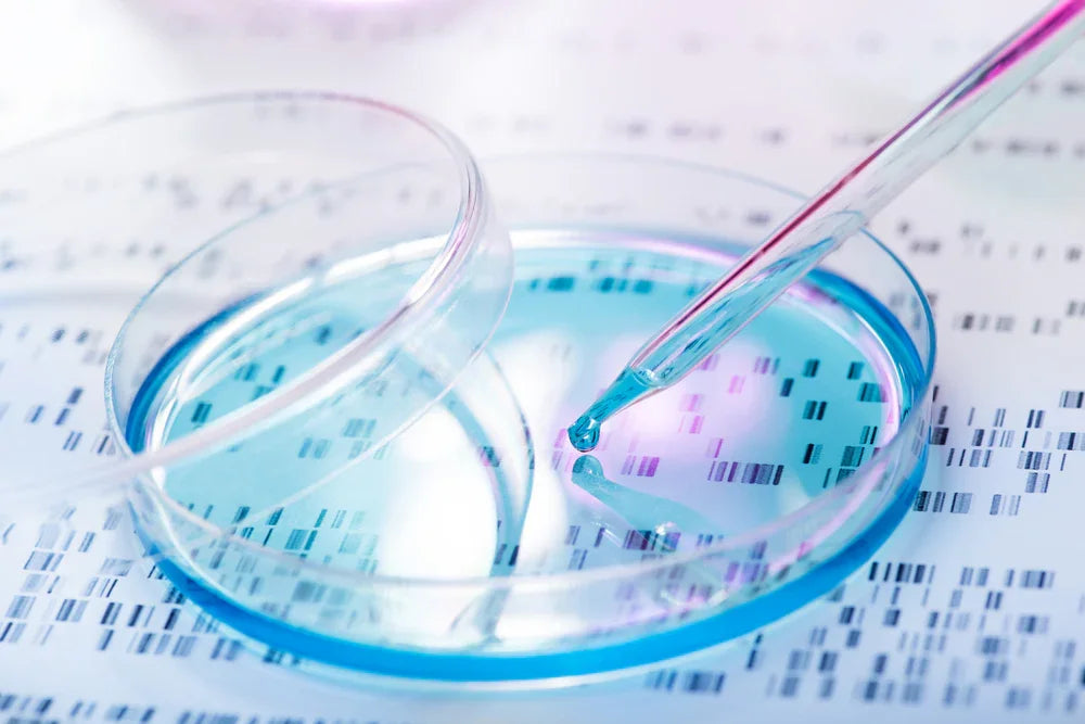 Close-up of pipette adding liquid to petri dish on DNA sequence background, allergy research concept