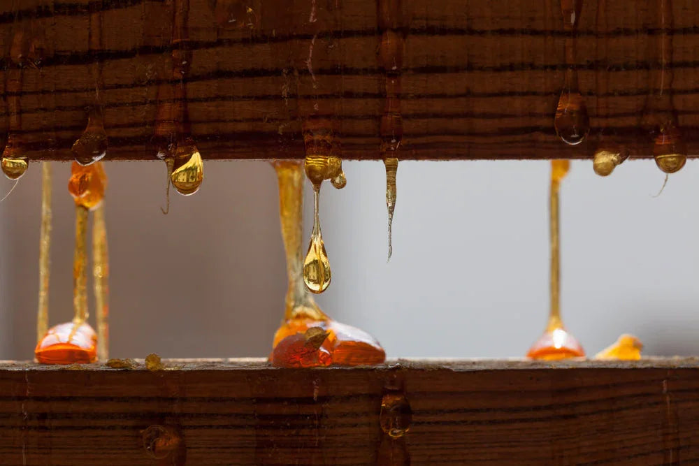Close-up of amber resin dripping from wooden planks, natural texture detail