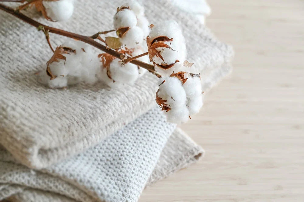 Natural cotton branch on folded hypoallergenic fabric, allergy-free textile concept